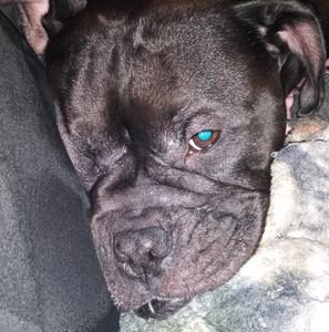 Meet your Posher, Tiana